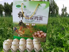 綠禮盒